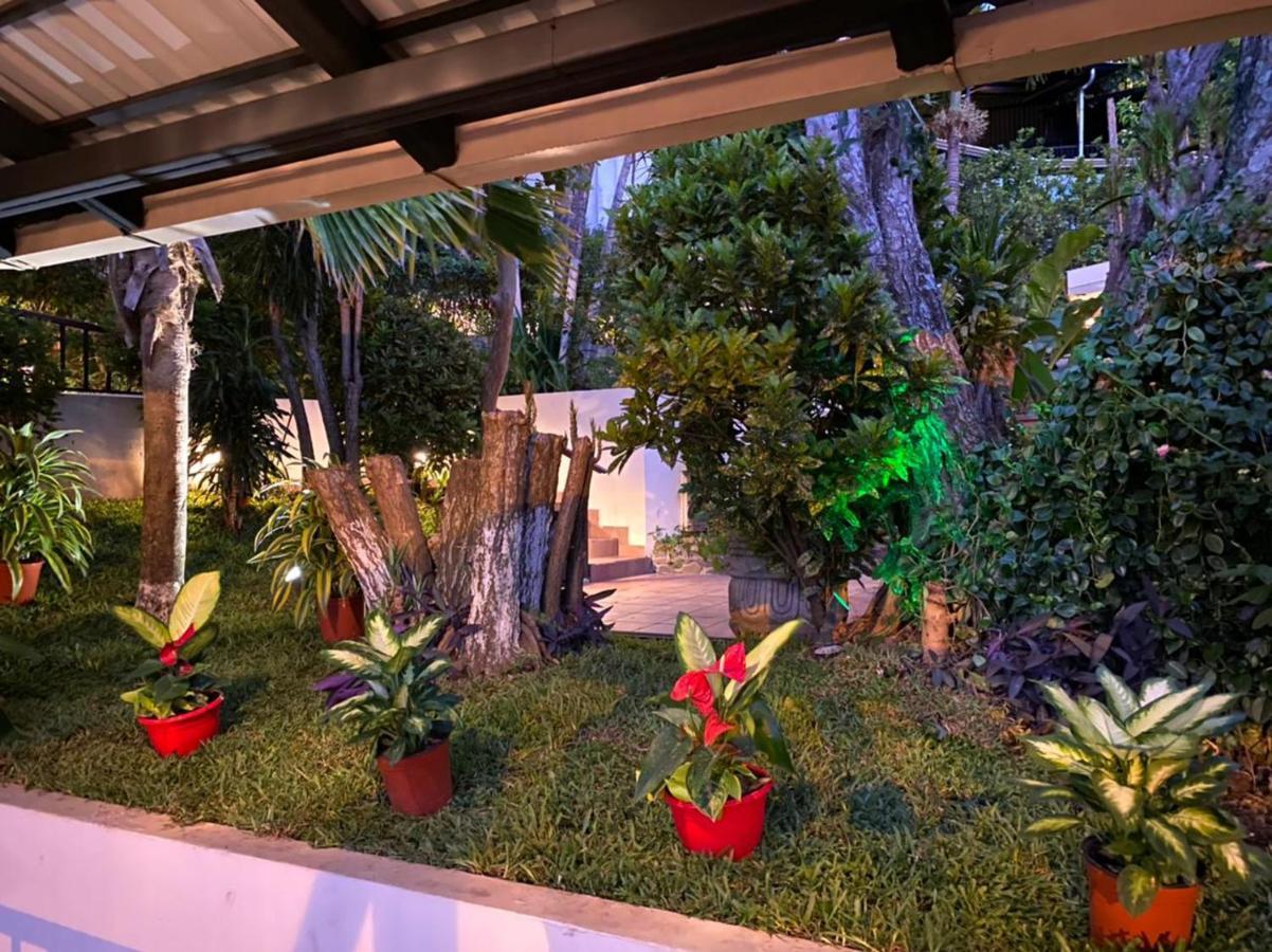 Casa Reflejos City View San Jose  Bagian luar foto